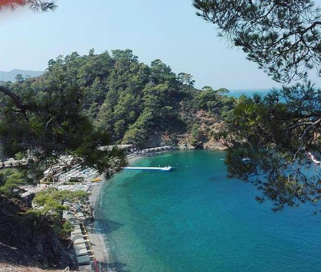 Aparthotel Turtle Apart Fethiye Zewnętrze zdjęcie